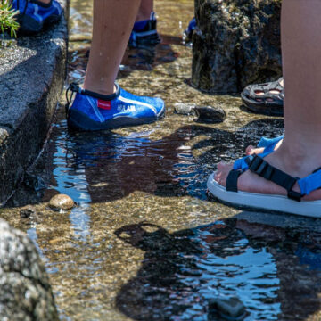 親水公園 親水公園