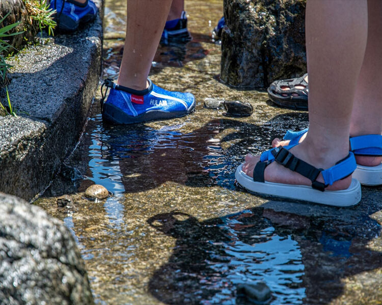 親水公園